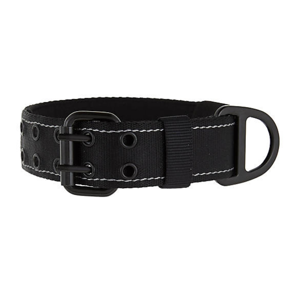 Dog KONG MAX Buckle Dog Collar-M